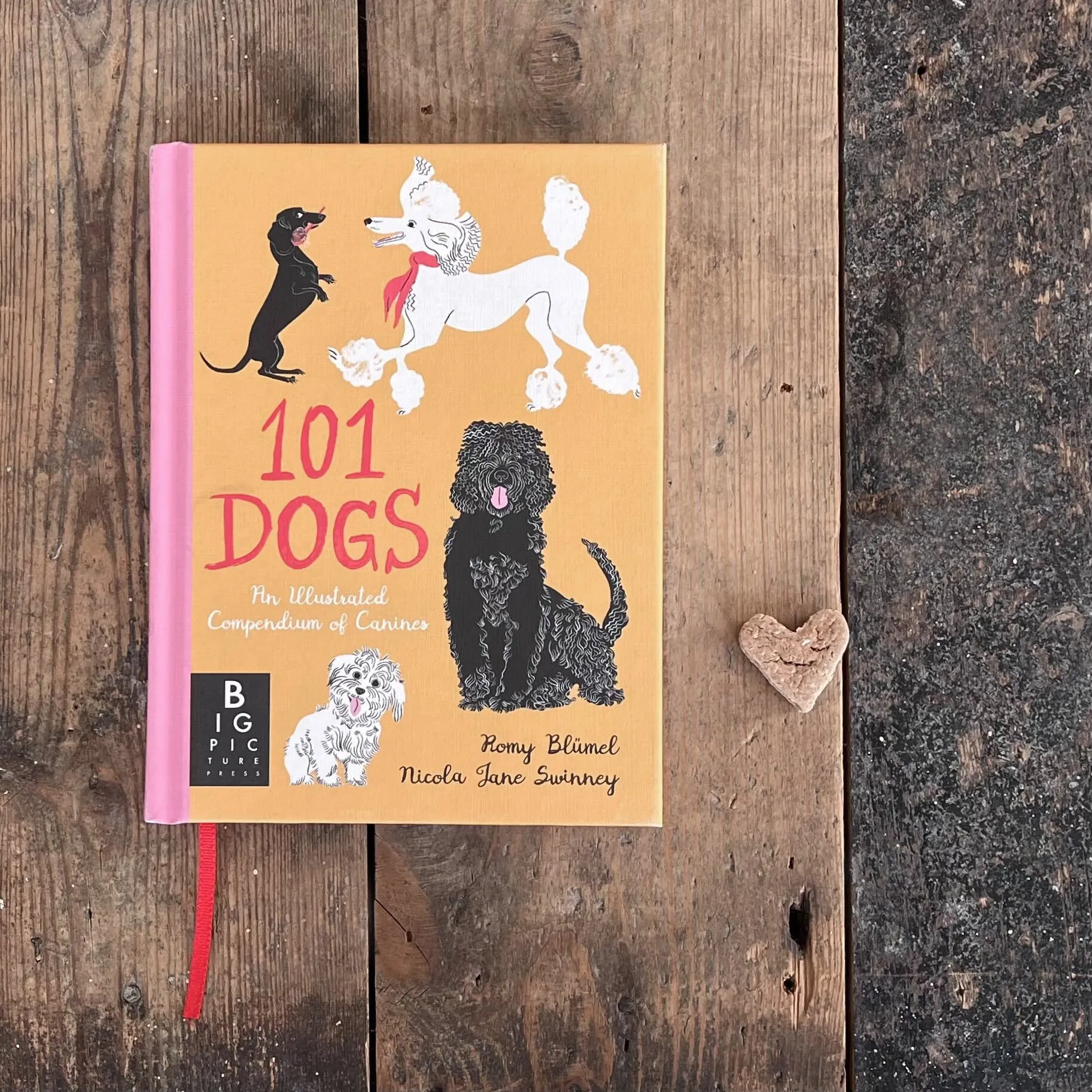 101 Dogs Book