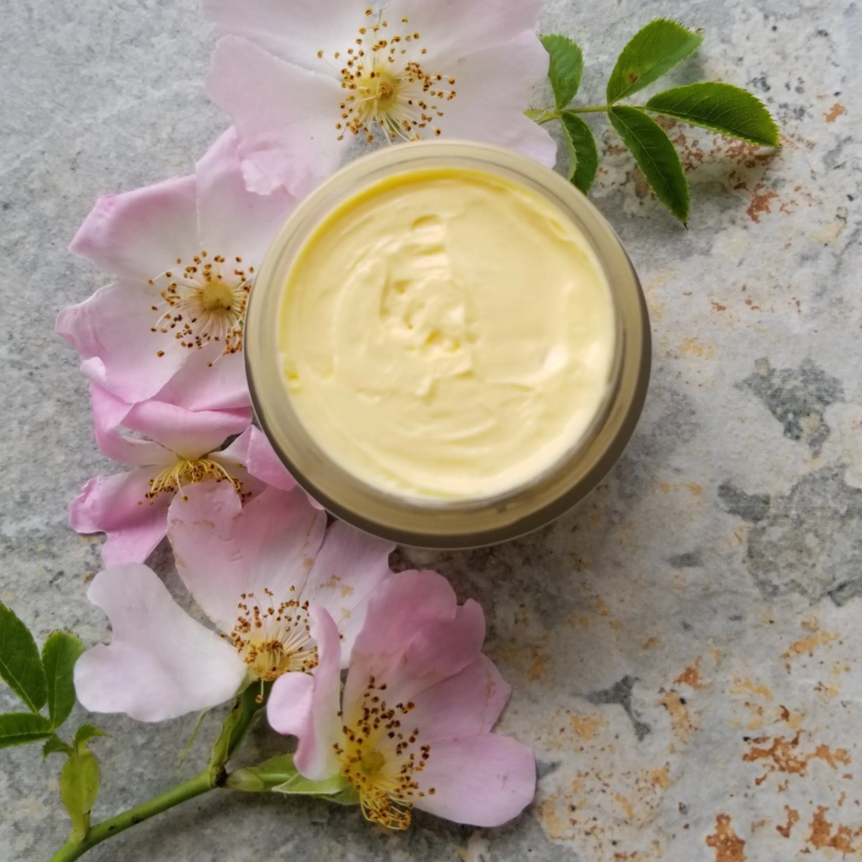 A Ritual of Roses / Cream
