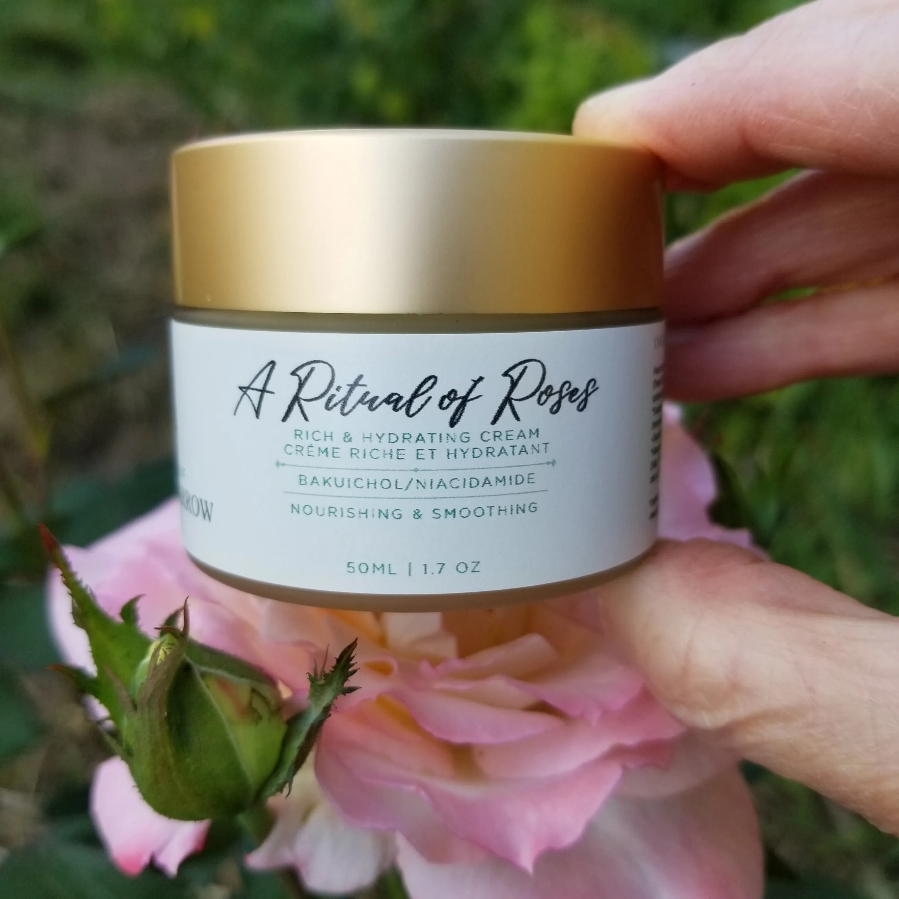 A Ritual of Roses / Cream
