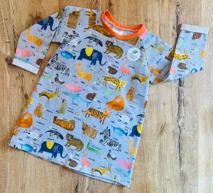 AlphaZoo Long Sleeve A Line Dress - 12-18 Months