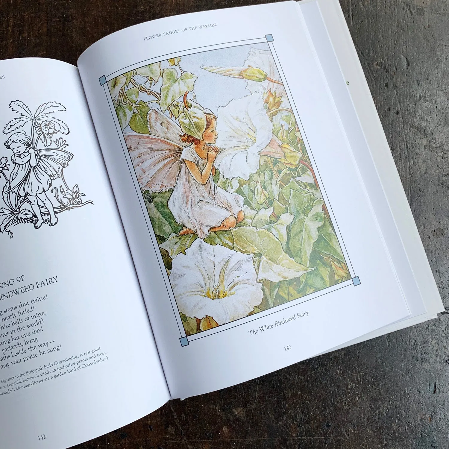 Cicely Mary Barker - The Complete Book of The Flower Fairies