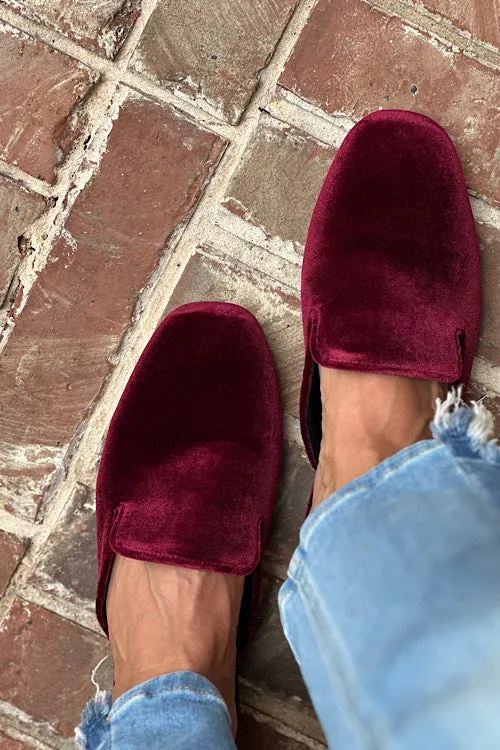 Corky's Burgundy Spotlight Velvet Mule