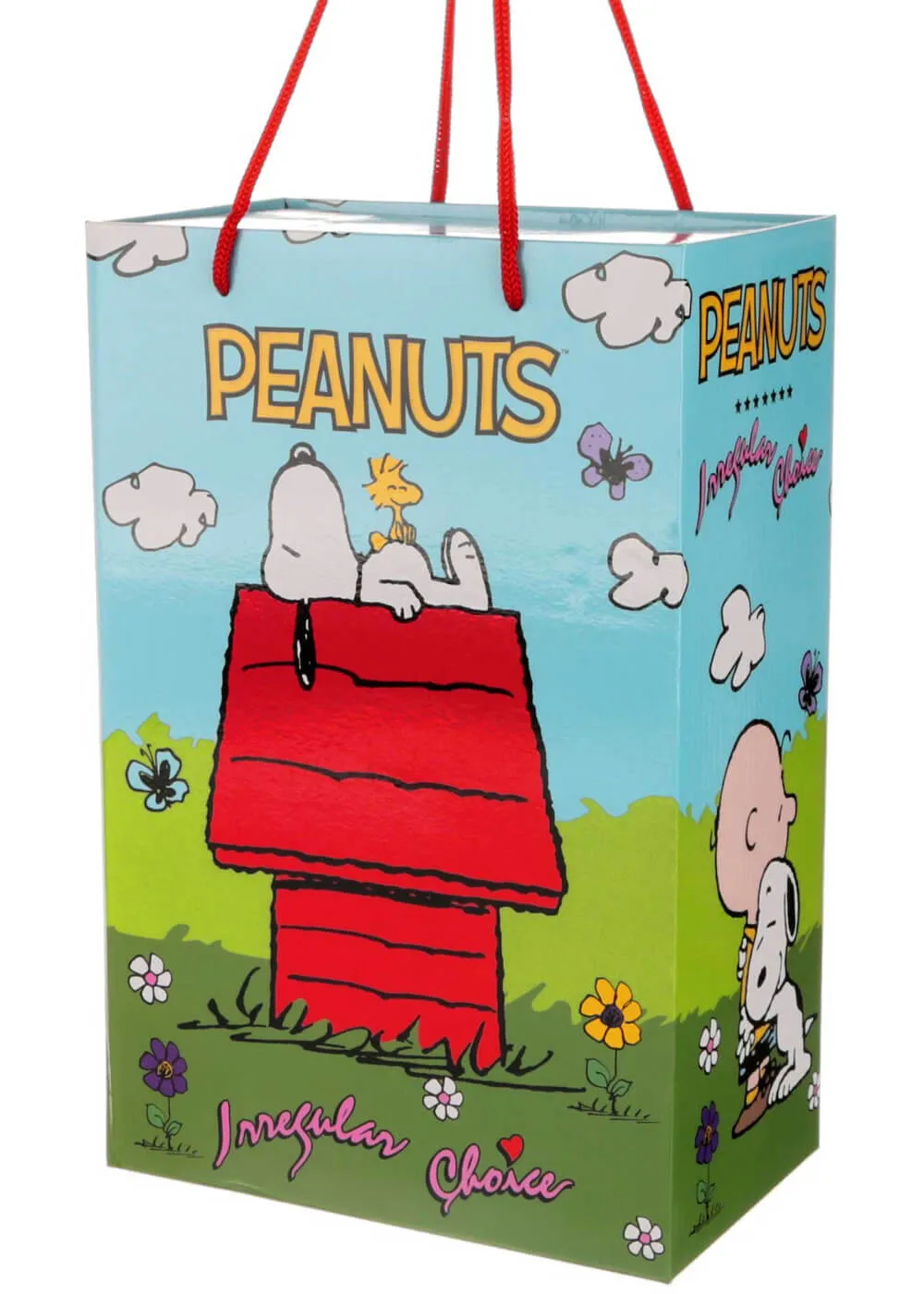Irregular Choice x Peanuts Don’t Scare Me Mary Jane Shoes Black
