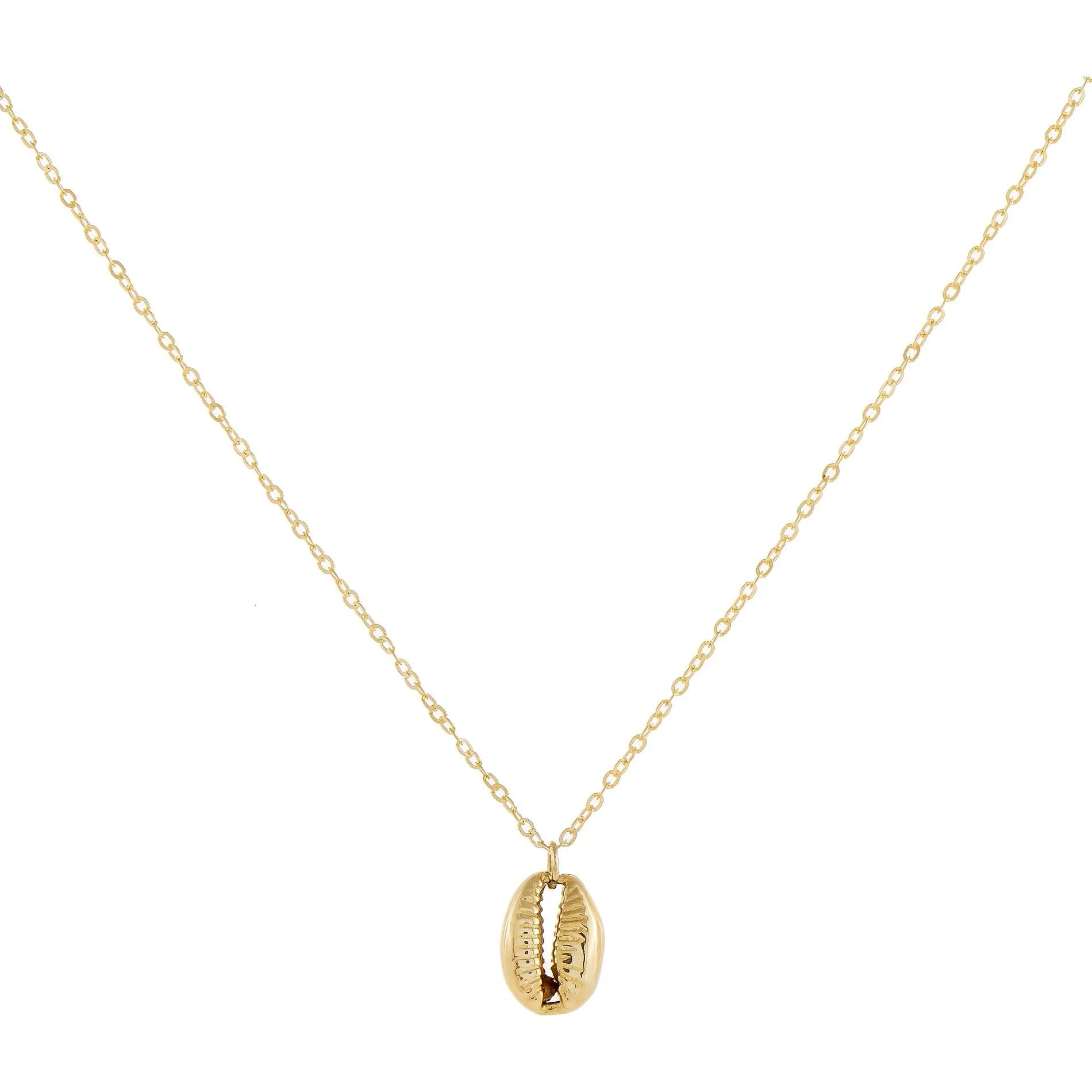 Mini Shell Necklace 14K