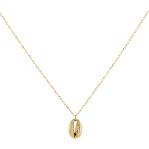 Mini Shell Necklace 14K