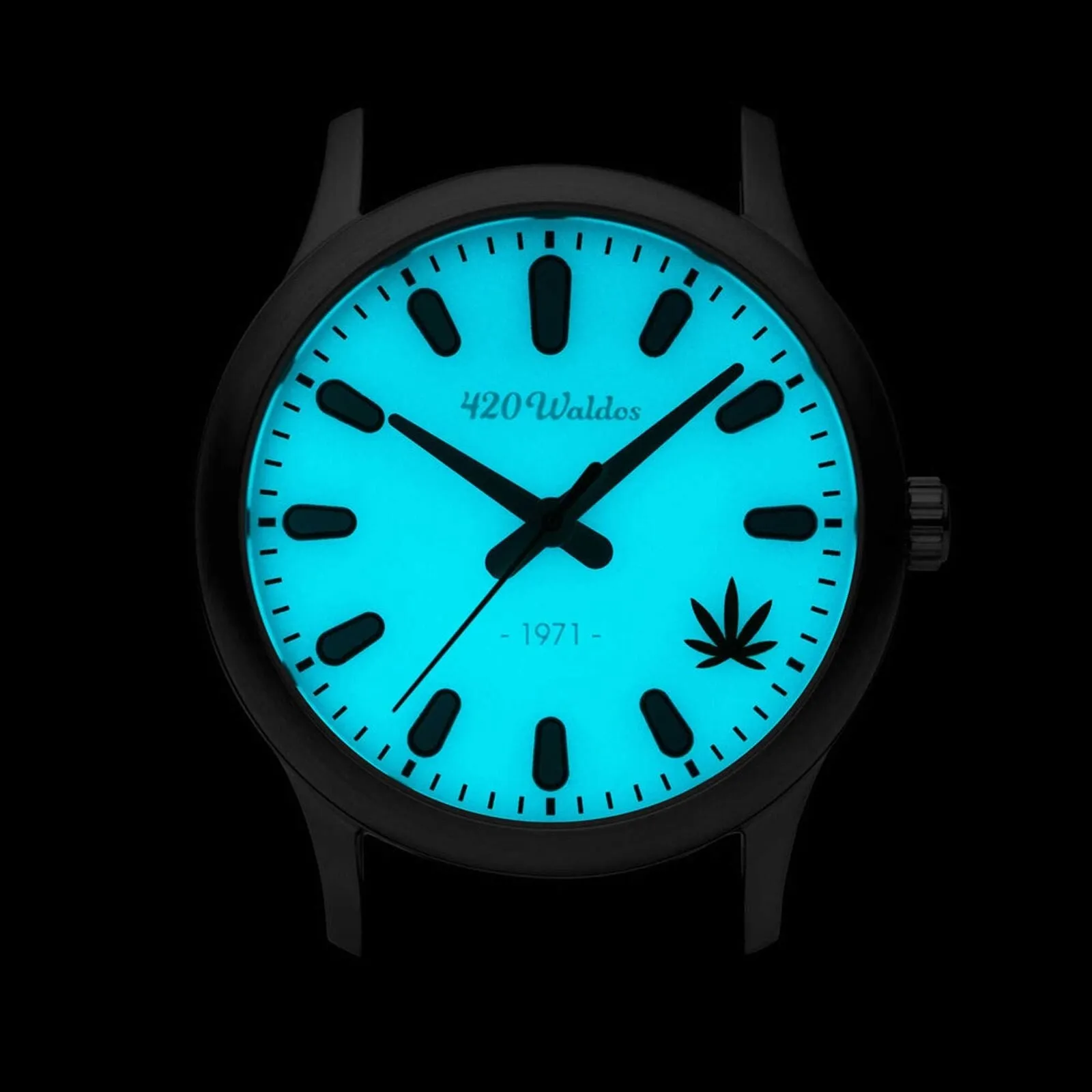 New in 420 Waldo's Box! 420Waldos Women's Watch Mary Jane Quartz Soft Blue Genuine Leather Strap W2012 Retails $150US 