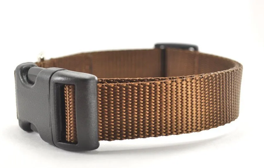 Nylon Dog Collar