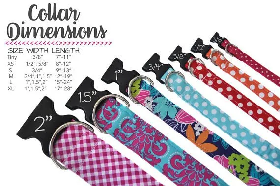 Nylon Dog Collar