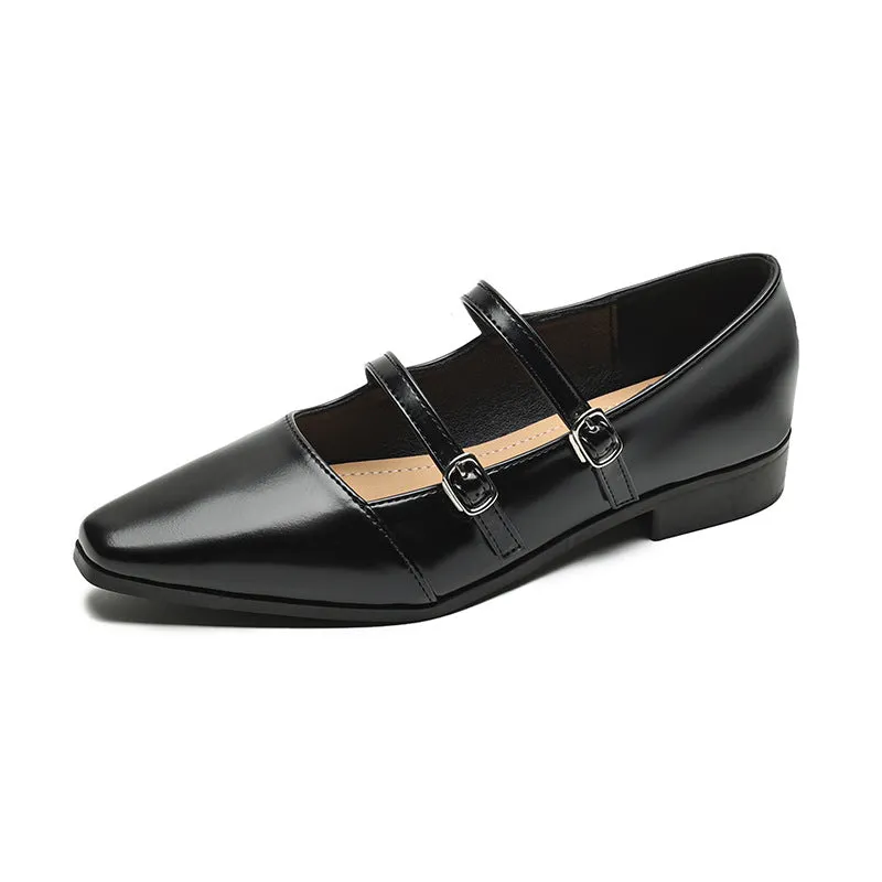 Pointed Toe Mary Jane Shoes French Style Shallow Thick Heel Women's Shoes