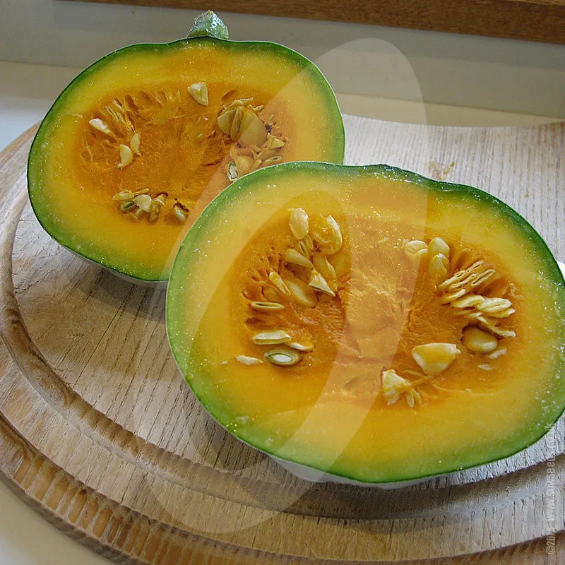 Squash Crown Prince F1 Seeds
