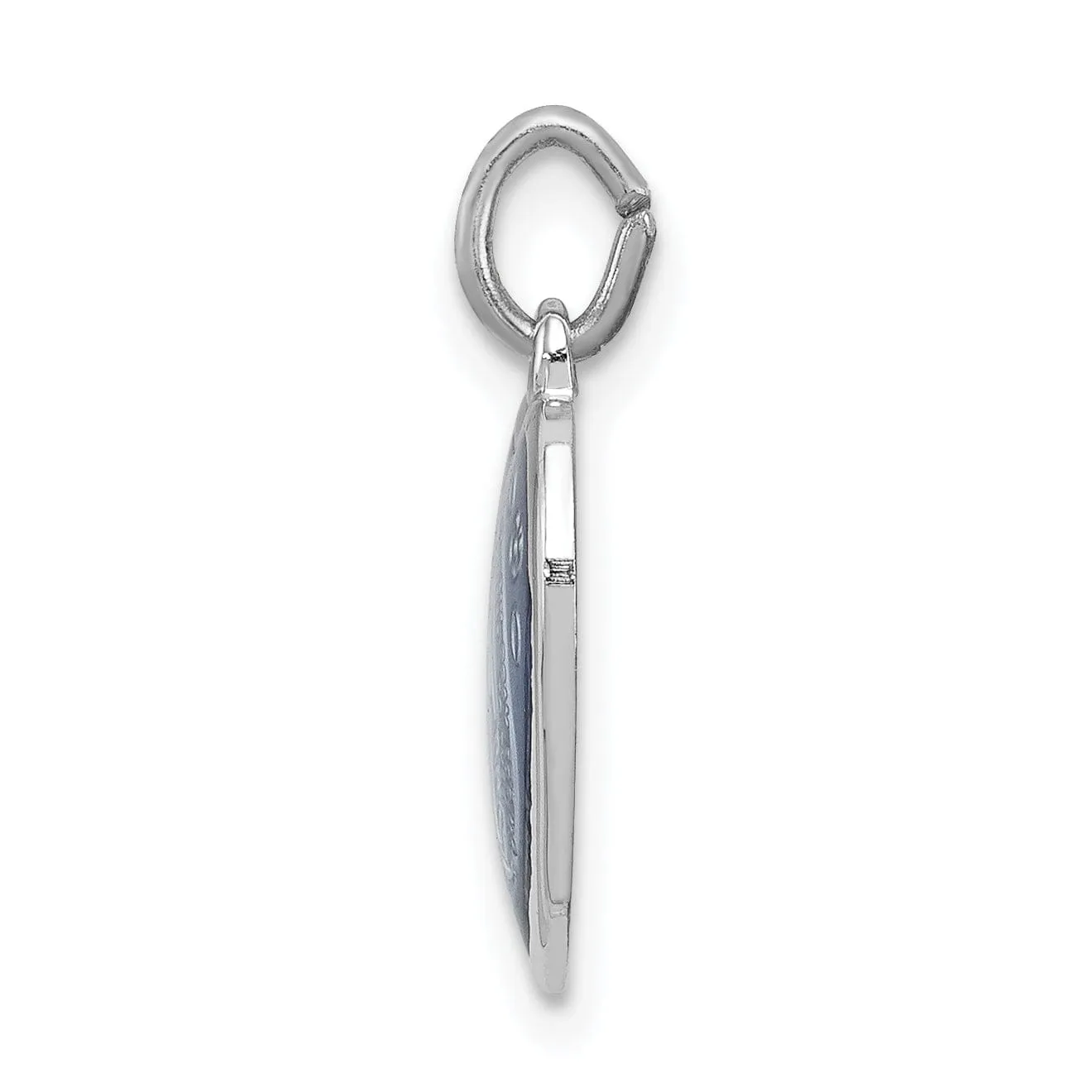 Sterling Silver Miraculous Heart Medal