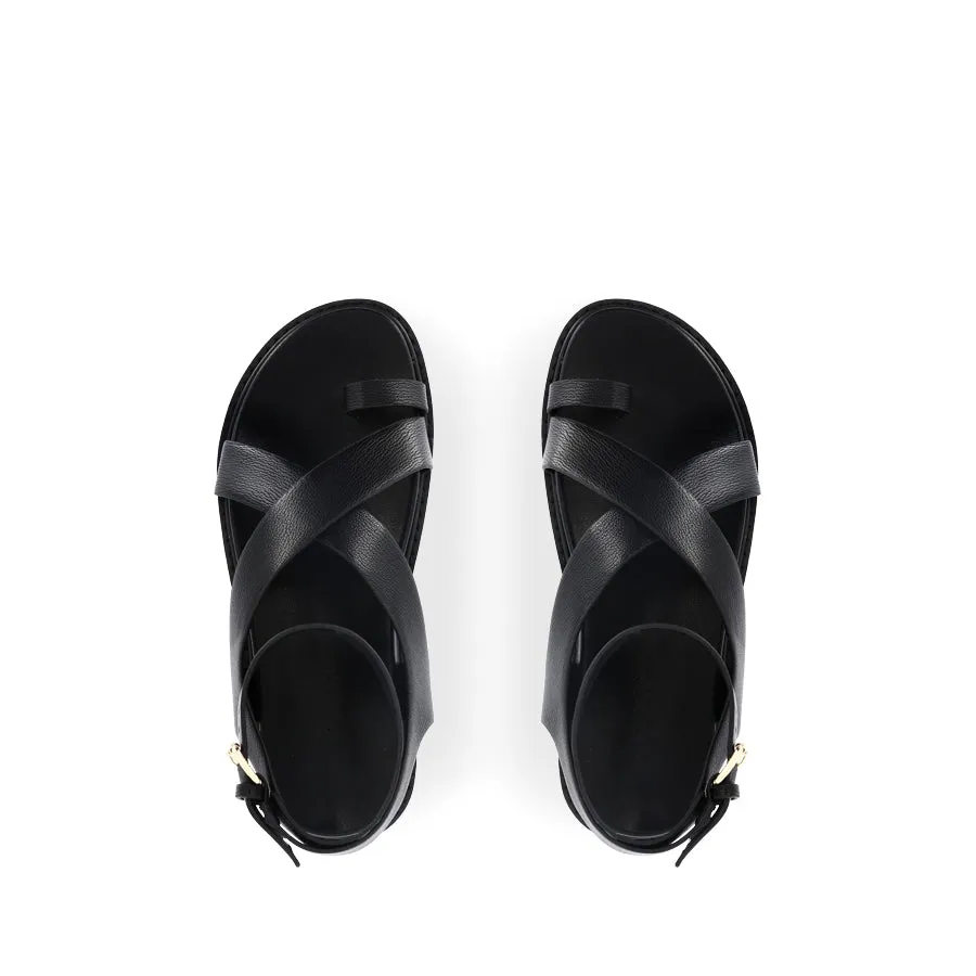 ZINI - BLACK